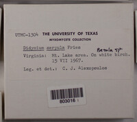 Image Associated With the Occurence